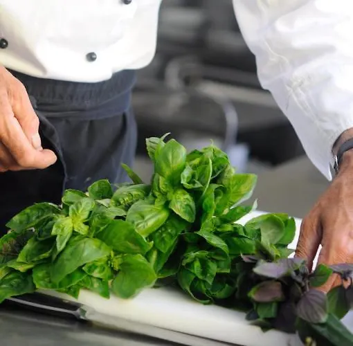 Seehotel Off 4* Меерсбург